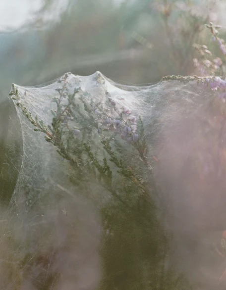 A Magazine Curated By — p.116 Anders Edstrom
