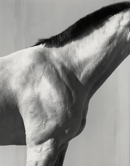 A Magazine Curated By — p.24 Steven Klein