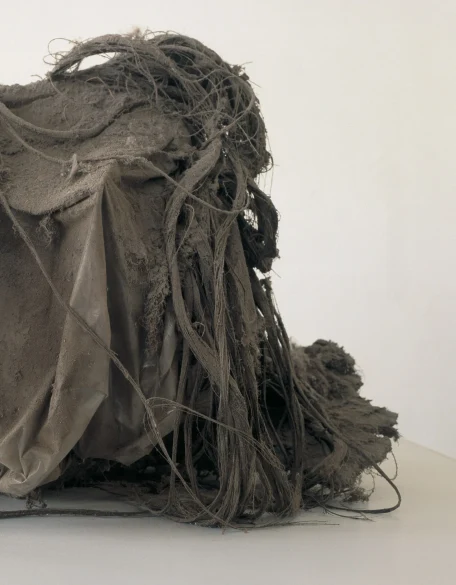 A Magazine Curated By — p.81 Peter Buggenhout