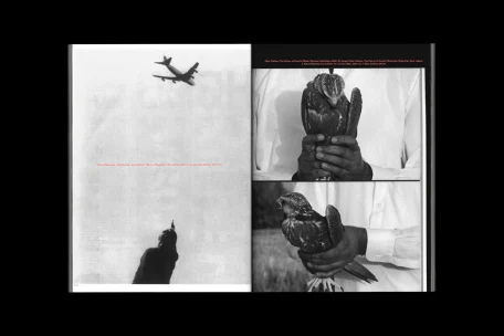 Mousse — Spread 7