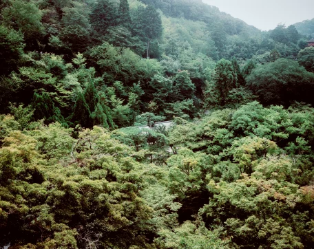 Mouthwash — Desamor